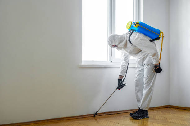 Emergency Pest Control in Hawley, PA